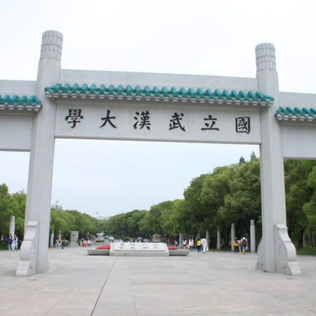 武汉大学「排名全国第几」
