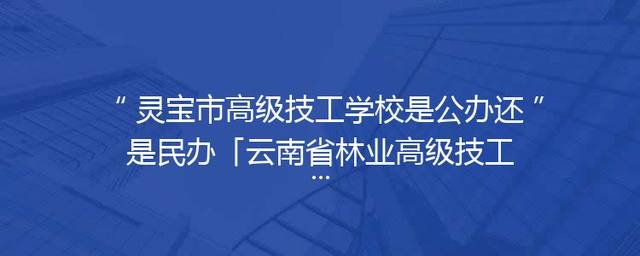 灵宝市高级技工学校是公办还是民办「云南省林业高级技工学校是公办还是民办」