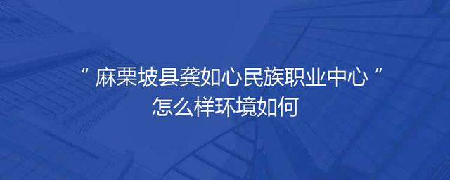 麻栗坡县龚如心民族职业中心怎么样环境如何