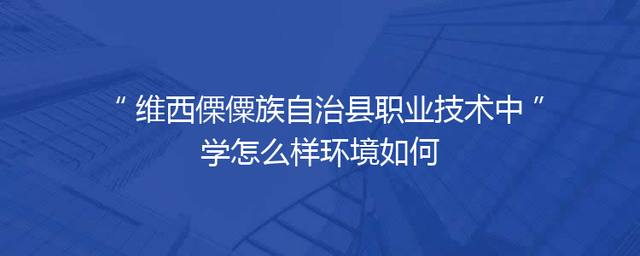 维西傈僳族自治县职业技术中学怎么样环境如何
