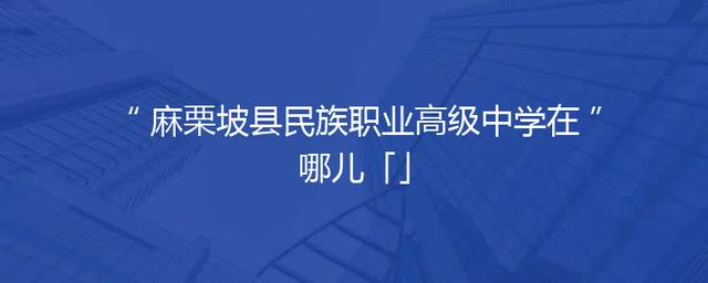 麻栗坡县民族职业高级中学在哪儿「」
