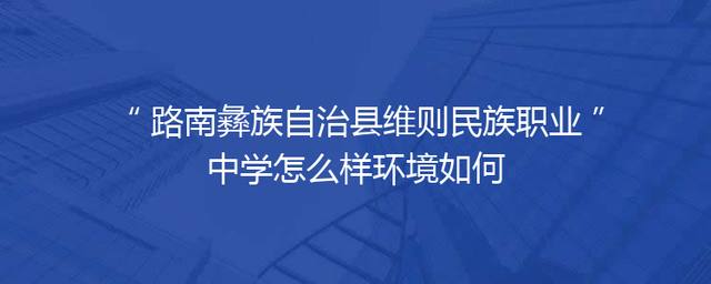 路南彝族自治县维则民族职业中学怎么样环境如何