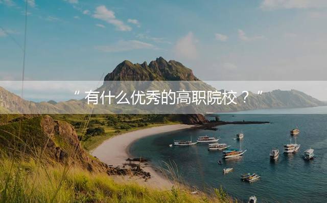 有什么优秀的高职院校？
