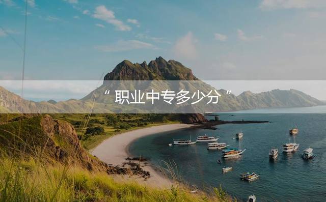 职业中专多少分？具体要看专业要求