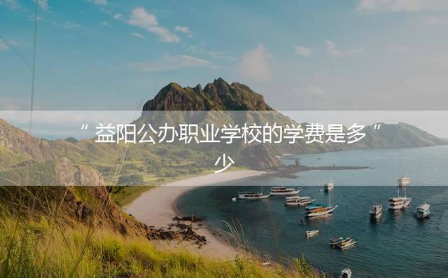 益阳公办职业学校的学费是多少？