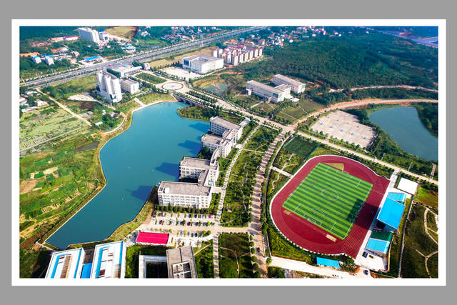永州职业技术学院护理专业和药学专业的就业方向是什么？