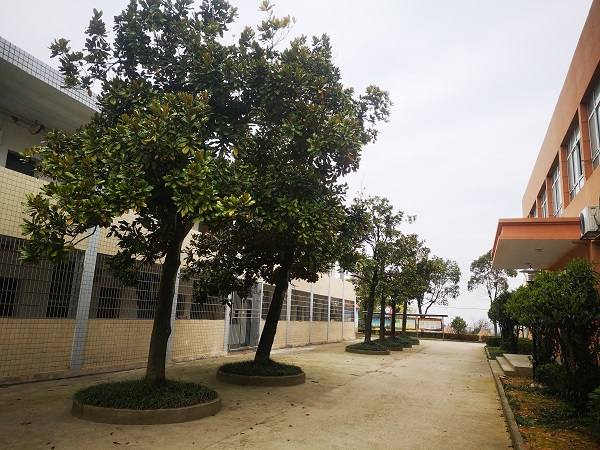 常德德才科技职业学校怎么样？