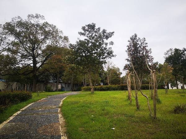 常德德才科技职业学校学费多少钱？