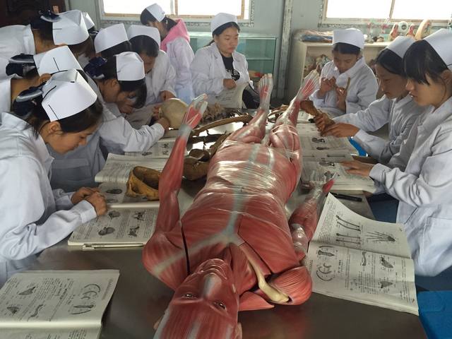 邵阳市护理学校毕业生就业怎么样？