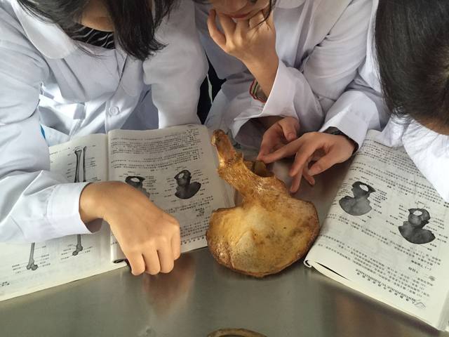邵阳市护理学校王牌专业有哪些？