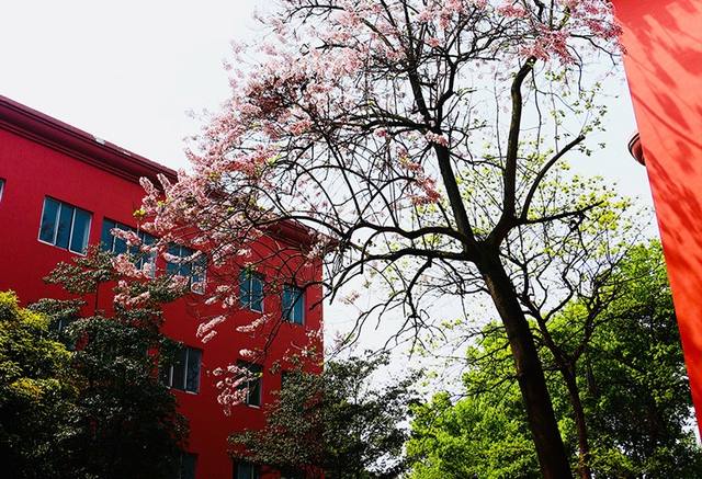 湖南省医药技工学校热门专业是什么？