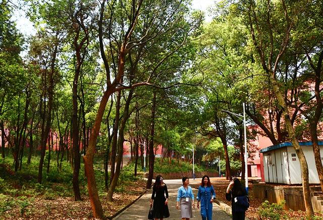 湖南省医药技工学校就业率是多少？
