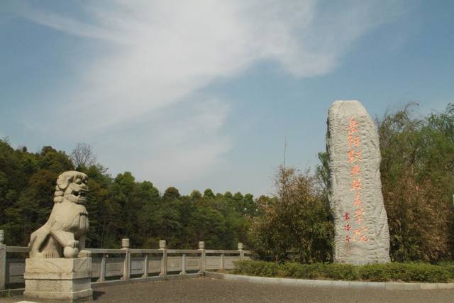 2024年岳阳职业技术学院单招有何要求？