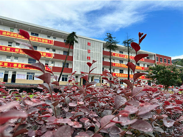 岳阳市理工职业技术学校有哪些专业好就业？