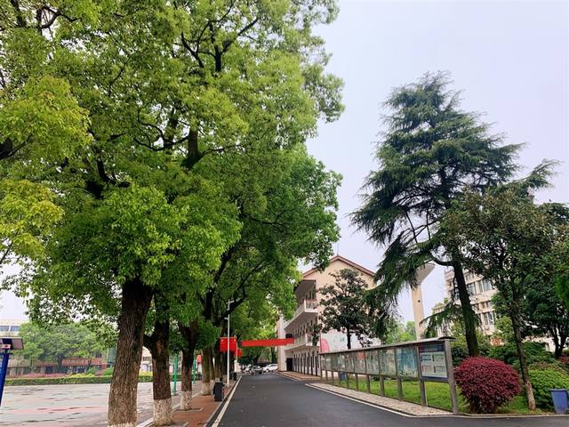 益阳高级技工学校办学特色有哪些？