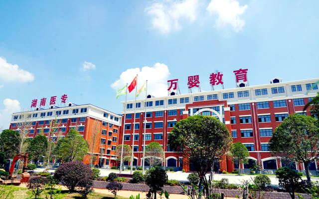 湖南省医药中等专业学校学费多少钱？