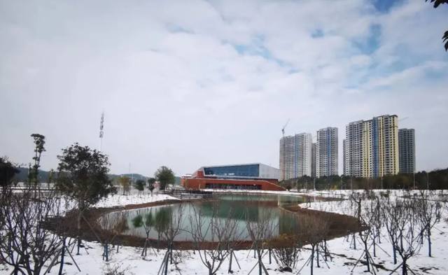 长沙市卫生学校怎么样？