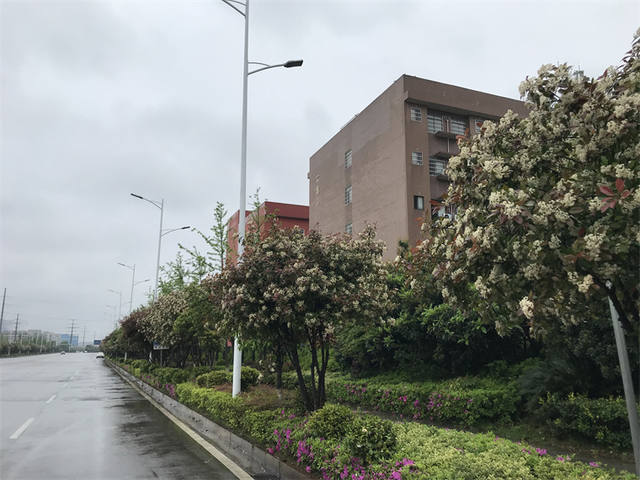 湘潭计算机职业技术学校有哪些专业特色？
