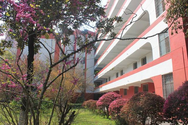 涟源钢铁集团有限公司技工学校就业怎么样？