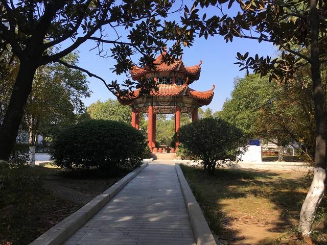 临湘市职业中专招生条件有哪些？