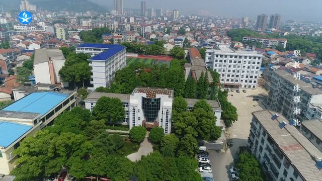 临湘市职业中专毕业生就业怎么样？