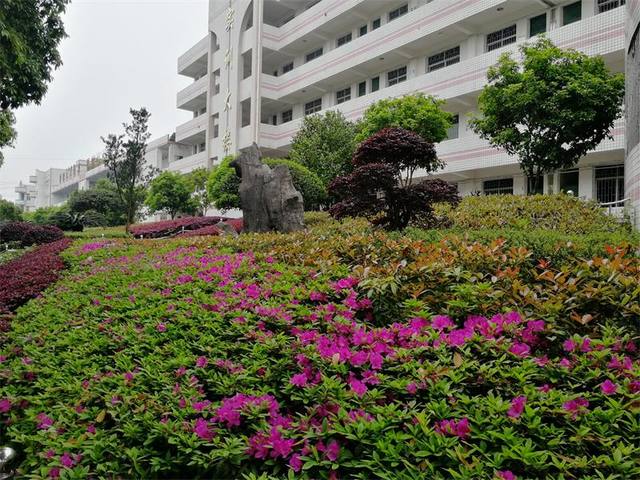 沅江市职业中等专业学校毕业生就业怎么样？