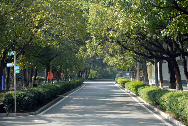 衡阳铁路运输职业学校哪个专业就业率高？