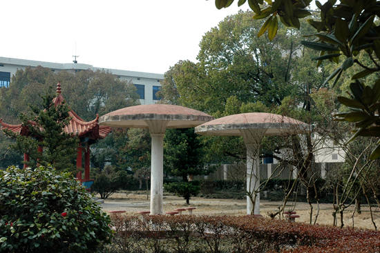 长沙市望城区职业中等专业学校招生条件有哪些？
